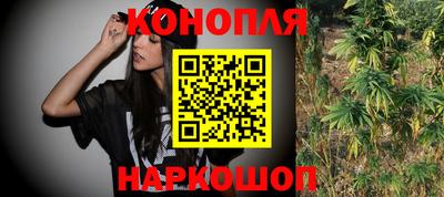 стафф Бердск