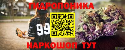 стафф Бердск