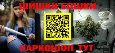 стафф Бердск
