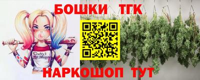 стафф Бердск