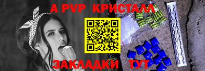 стафф Бердск