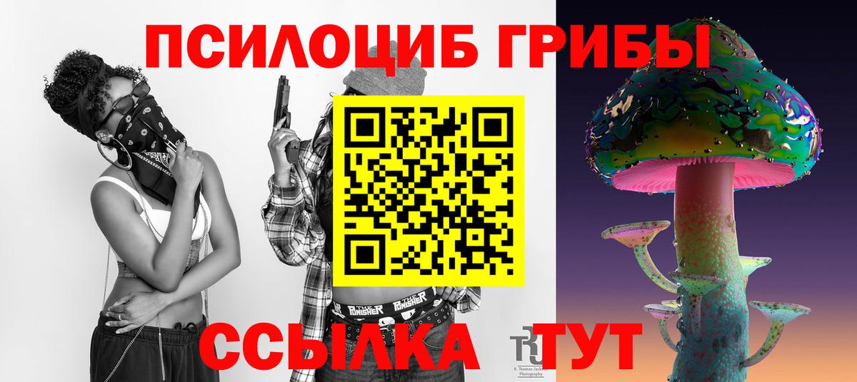 Псилоцибиновые грибы MAGIC MUSHROOMS  Вход с VPN  цена наркотик  Сокол 